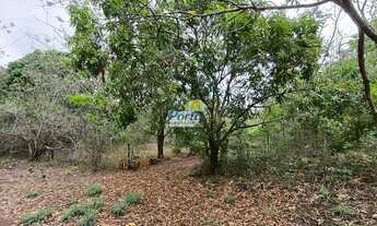 Imagem 5: Terreno Residencial para Venda Itararé, Teresina