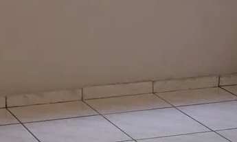 Imagem 2: Apto 2 quartos Campo Grande