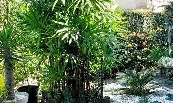 Imagem 6: Casa à venda em Duque de Caxias, Parque Beira Mar, com 3 quartos, com 154.18 m²