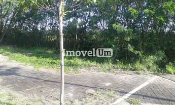 Imagem 5: Barra da Tijuca Terreno / lote com venda por R$25.000.000