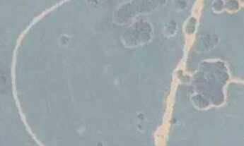 Imagem 2: 16 alqu com 81% de cana em Ibira