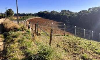 Imagem 3: Chácara Alba: Um Refúgio Natural com Potencial de Ouro a Minutos de Curitiba