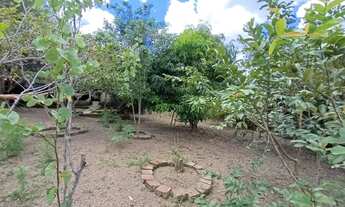 Imagem 5: CHACARA 20.000m², 2 Casas, Piscina, toda cercada, 500 metros para asfalto