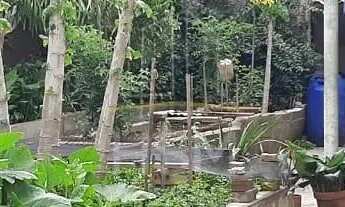 Imagem 3: Vende Terreno - 500m² - Nova Petropolis - São Bernardo do Campo/SP