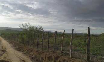 Imagem 2: Vende-se 4 tarefas de terra