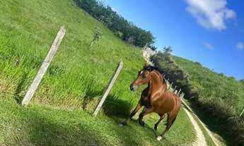 Imagem 5: TERRENO DE 1.000M² EM JACAREÍ PAGAMENTO PARCELADO