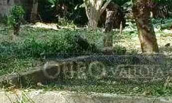 Imagem 3: GRANDE POTENCIAL PARA CONDOMÍNIO RESIDENCIAL