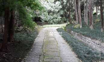 Imagem 4: Belíssimo Sítio com 3 dormitórios à venda, 23000 m² por R$ 1.650.000 - Chácara Paraíso - N