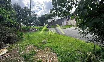 Imagem 4: Terreno com 600 m² à venda, Santa Cândida, Curitiba, PR