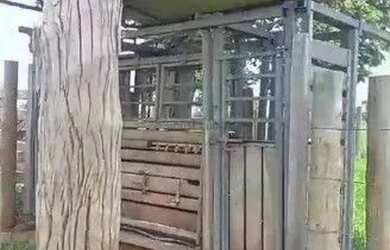 Imagem 4: Fazenda de 110 alqueres, no município de Jussara no estado de Goiás