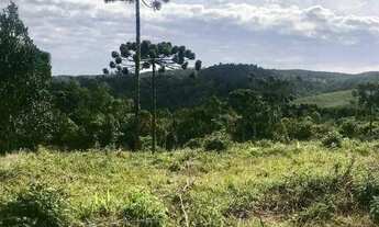 Imagem 3: Chácara à venda, 20000 m² por R$ 200.000,00 - Zona Rural - Bocaiúva do Sul/PR