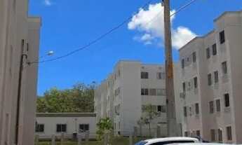 Imagem 7: Apartamento oportunidade única