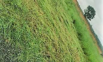 Imagem 4: Terreno- Genebra