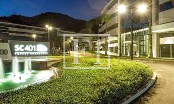 Imagem 3: FLORIANóPOLIS - Conjunto Comercial/Sala - Saco Grande