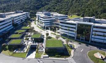 Imagem 1: FLORIANóPOLIS - Conjunto Comercial/Sala - Saco Grande