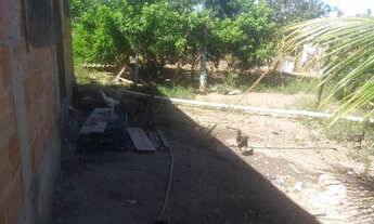 Imagem 2: Chácara em Botafogo Cabo Frio-Rj 180 mil