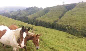 Imagem: Fazenda PR aceita permuta