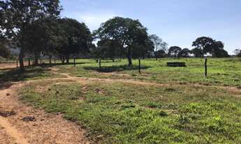 Imagem 2: Lote/Terreno 2.500 metros condomínio rural financiado Santo Antônio Goiás