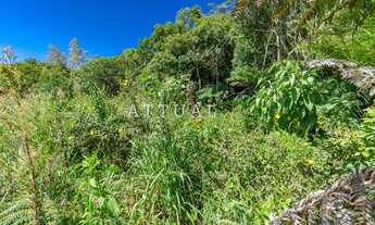 Imagem 5: CANELA - Terreno Padrão - Alpes Verdes