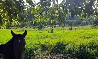 Imagem 5: Fazenda/Sítio/Chácara para venda com 127 metros quadrados em Centro - Jaru - RO