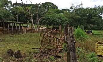 Imagem 3: Chácara 42.000 metros Chácara Recreio Samabaia