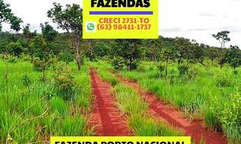 Imagem 3: Fazenda em Luzimangues