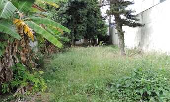 Imagem 4: Terreno plano em zoneamento zer1 com frente de 10 m e fundo de 60 m + 10 x 10 m no fundo a