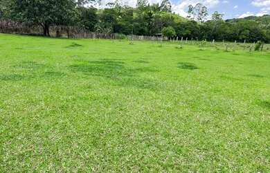 Imagem 7: PA - Vende-se terreno com ótimo preço!!!