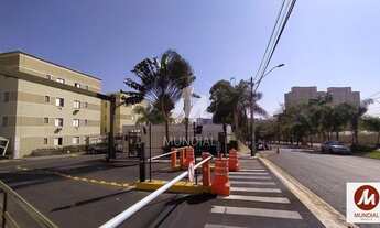 Imagem 3: Apartamento (tipo - padrao) 2 dormitórios, cozinha planejada, portaria 24hs, lazer, em con