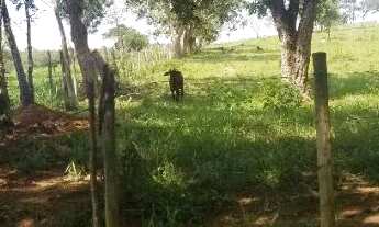 Imagem 2: Terreno rural 15.000m2, Comunidade ponte Ferro