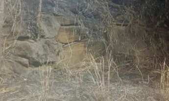 Imagem 3: Terreno pra venda ou troca