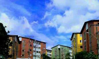 Imagem: Cabelos naturais cacheados