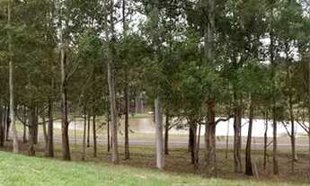 Imagem 2: Lote fundo para os lagos - Oportunidade!