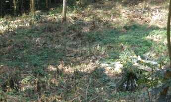 Imagem 2: Terreno, Tucuruvi - São Paulo