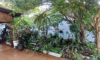 Imagem 5: CASA TÉRREA - LAPA - SP