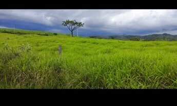 Imagem 6: Vende-se uma excelente chácara de 7 hectares top