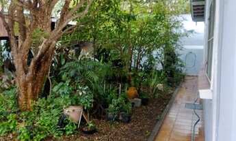 Imagem 6: CASA TÉRREA - LAPA - SP