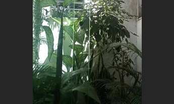 Imagem 3: Chave Casa com 2 dormitórios