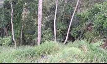 Imagem 2: QD 11 - Casa Padrão