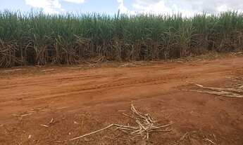 Imagem 5: Fazenda em São Simão