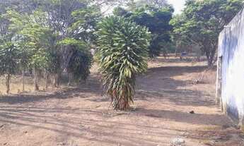 Imagem 3: Venda Casa com 5 dormitórios