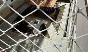 Imagem 4: São Lourenço MG