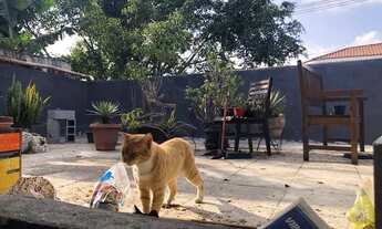 Imagem 5: CASA RESIDENCIAL em SÃO PAULO - SP, JARDIM IVANA