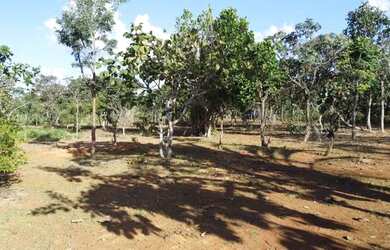 Imagem 4: Chácara 2 Hectares Chacara De 20.000M2, São 20.000M2!. KKV184