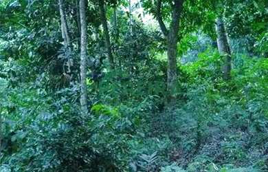 Imagem 3: Terreno a venda em Rio de Janeiro