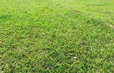 Imagem 4: VC - Vendo Terreno para lazer e tranquilidade