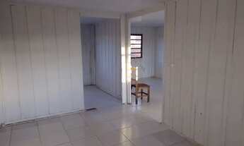 Imagem 2: Torro Casa no ipê SJP