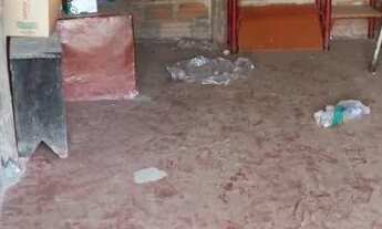 Imagem 5: Casa em fazenda nova go