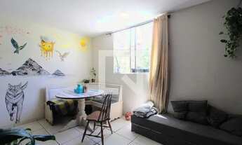 Imagem 5: Apartamento para Aluguel - Anil, 3 Quartos, 56 m2