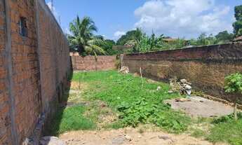 Imagem 3: Terreno vila Sarney filho 1